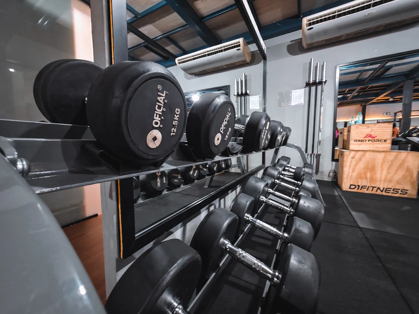 Halteres organizados na área de musculação da Nova Gym